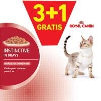 ROYAL CANIN FHN Instinctive Plic în Sos pentru pisici - 1