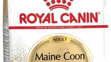 ROYAL CANIN FHN Maine Coon 4kg