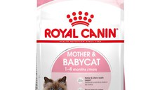 ROYAL CANIN FHN Mother & Babycat (1-4 luni)
