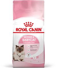 ROYAL CANIN FHN Mother & Babycat (1-4 luni) - 1