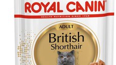 ROYAL CANIN FHN Plic pentru pisici British Shorthair 85g