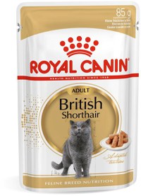 ROYAL CANIN FHN Plic pentru pisici British Shorthair 85g - 1