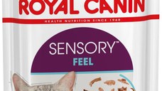 ROYAL CANIN FHN Sensory Feel în Sos Plic pentru pisici 85g