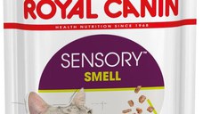 ROYAL CANIN FHN Sensory Smell în Sos Plic pentru pisici 85g