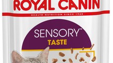 ROYAL CANIN FHN Sensory Taste în Sos Plic pentru pisici 85g