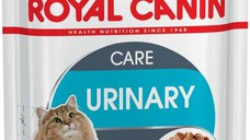 ROYAL CANIN FHN Urinary Care Plic pentru pisici adulte