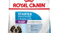 ROYAL CANIN SHN Giant Starter 15kg