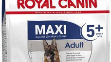 ROYAL CANIN SHN Maxi Adult 5+
