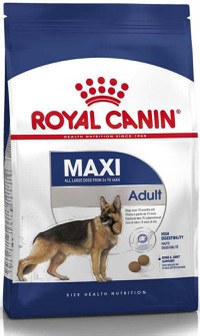 ROYAL CANIN SHN Maxi Adult - 1