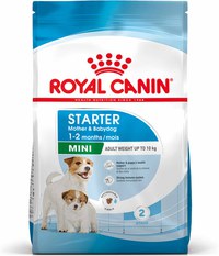 ROYAL CANIN SHN Mini Starter Mother & Babydog pt. femele gestante şi căţei - 1