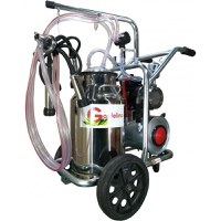 Aparat de muls Vaci Gardelina T140 IN IC, 40L INOX, 1 post, 180 l/min, 10 bovine pe ora - 1