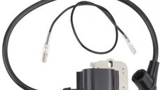 Aprindere Drujba Husqvarna: 40, 51, 55, 257, 261, 262, 272  - Taiwan - CAL I