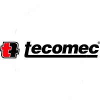 Ascutitor Lant Drujba Electric cu Sistem de Auto-Ajustare, Tecomec Italia - 3