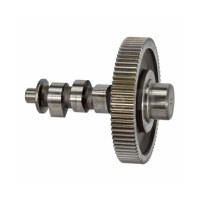 Axa came motor diesel 186F - 1