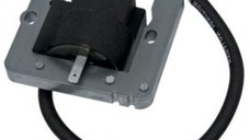 Bobina Aprindere Tecumseh Enduro OHV