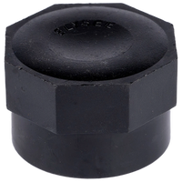 Capac FI, Dimensiune 1 1/4" ,Presiune 10 Bari - 1