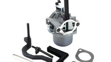 Carburator Briggs-Stratton 591378, 699966, 699958