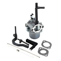 Carburator Briggs-Stratton 591378, 699966, 699958 - 1