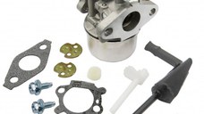 Carburator Briggs-Stratton 798653, 697354, 790290