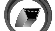 Curea Transmisie MTD E/160 -1219 mm
