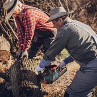 Drujba Micul Padurar 5200, 2.7 CP, 40 cm, Pornire Usoara - 2