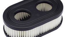 Filtru Aer Briggs - Stratton Quantum