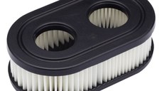 Filtru Aer Briggs - Stratton Quantum