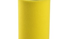 Filtru Aer Motor Briggs - Stratton 793569