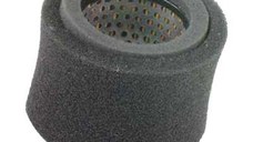 Filtru Aer ROBIN EH08 STD ,WEBER SRX50