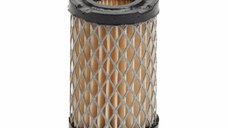 Filtru Aer Tecumseh TVS, ECV, H35, Spectra (35066)