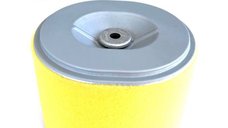 Filtru de Aer Honda  Gx240, Gx270 Everest