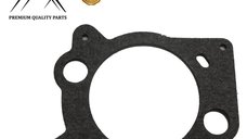 Garnitura Carburator (Aer) Briggs&stratton Ohv  Everest