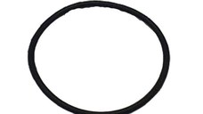 Garnitura pompa Booster RURIS , pentru atomizor Ruris 103s