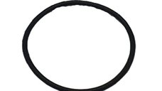 Garnitura pompa Booster RURIS , pentru atomizor Ruris 103s
