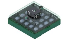 Incubator automat EU PROFI G-20, oua de gasca