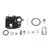 Kit Reparatie Carburator Briggs Stratton 494623 - 1