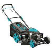 Masina de tuns iarba pe benzina - 4 in 1 - colectare, mulcire, evacuare posterioara si laterala, 5.5 CP, 46 cm, 70L, Detoolz DZ-M107 - 1