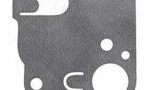 Membrana Carburator Briggs Stratton 270253