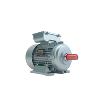 Motor electric monofazic 1.1KW 3000RPM - 1
