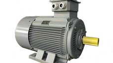 Motor electric trifazat, Putere 15 Kw, 3000 Rpm, carcasa din fonta - Cemer Productie Spania