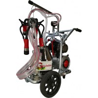 Mulgatoare Vaci Gardelina T130 IN PC, 30L INOX, 1 post, 180 l/min, 10 bovine pe ora - 1