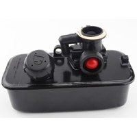 Rezervor si carburator motor Briggs-Stratton, Model 494406, 498809 - 1