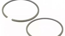 Segment 41mm x 1.5 mm AIP