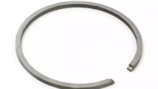 Segment Drujba 44.7mm x 1.2mm -AIP