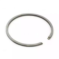 Segment Drujba 44.7mm x 1.2mm -AIP - 1