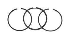 Segmenti Motor BRIGGS - STRATTON 65.10 mm 299742 (3.5CP)