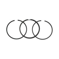 Segmenti Motor BRIGGS - STRATTON 65.10 mm 299742 (3.5CP) - 1