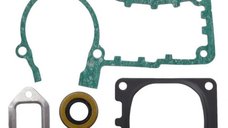 Set garnituri drujba compatibile Stihl MS441, MS441C ,simeringuri incluse