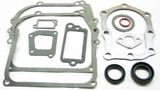 Set Garnituri Motor Briggs and Straton (Seriile 110900, 111900) 4 CP