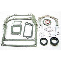 Set Garnituri Motor Briggs and Straton (Seriile 110900, 111900) 4 CP - 1